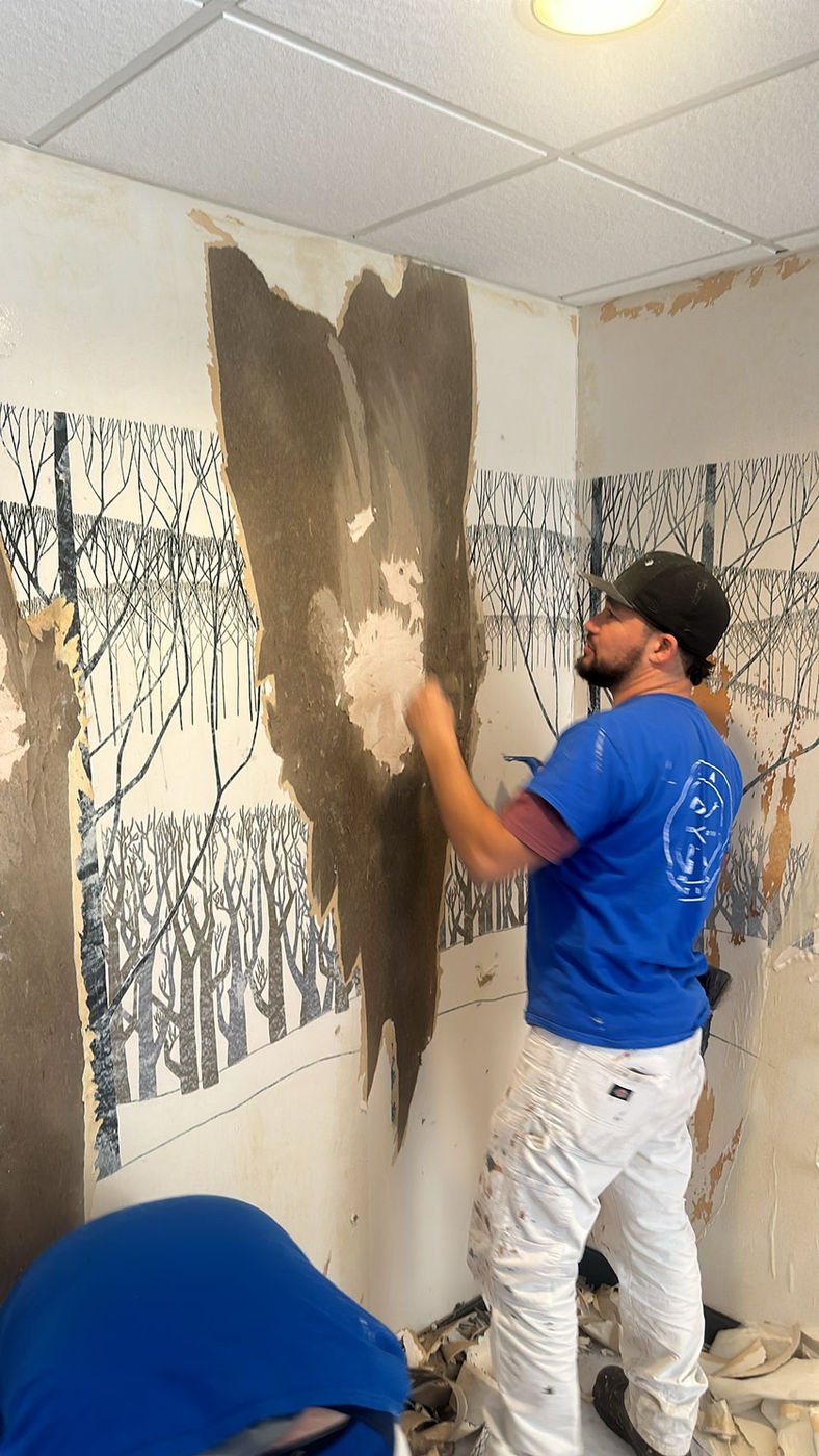 d62e71_618a899cba044ca28df53debad50923f~mv2